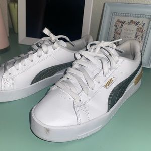 8.5 PUMAS